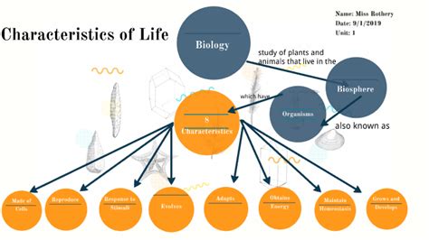 Biology Life Concept Map