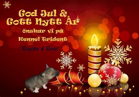 God Jul Hälsning Sms sasef org