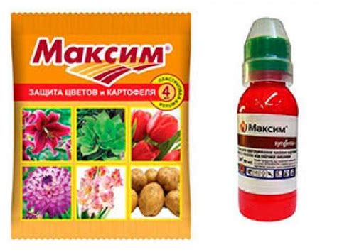 Контактные фунгициды: Контактные фунгициды - особенности применения ...