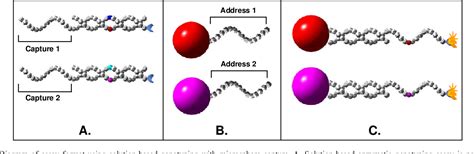 Figure From Applications Of Luminex Xmap Technology For Rapid High