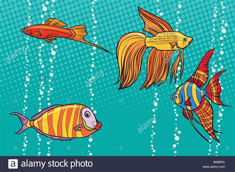 Kind Fisch Aquarium Stock Vector Images Alamy