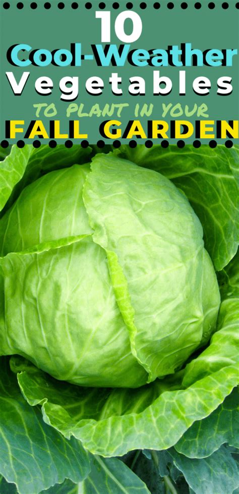 20 Cool Weather Vegetables For Your Fall Garden Artofit