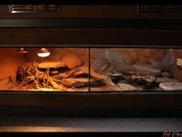 Dessert Terrarium Ideas Terrarium Reptile Enclosure Gecko Terrarium