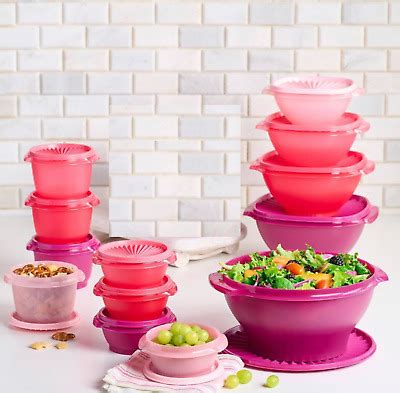 Tupperware Servalier Bowls Pc Set Bowls Canisters Seals Pink Shades