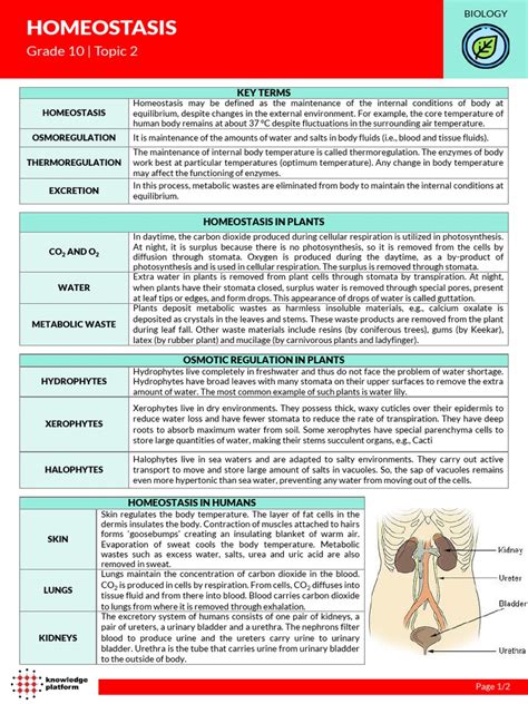 Homeostasis Grade 10 Topic 2 Pdf