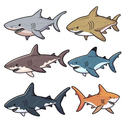 Fotos De Tubaroes Para Desenhar - Seis tubarões de desenho animado ilustrados de várias cores ...