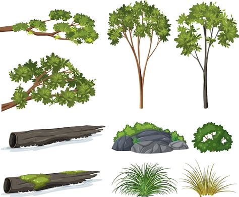 Geïsoleerde bomen en natuurobjecten set Gratis Vector