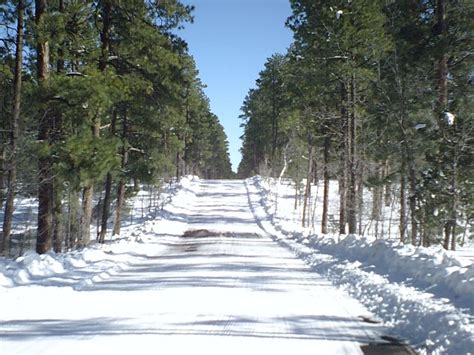 Snow Road Pinetop Arizona Arizona Vacation Pinetop Arizona