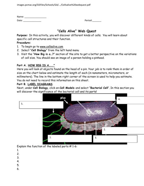 Cell Webquest Polk School District