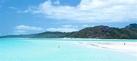 Whitehaven-Beach-couples-in-water (Medium) | Whitsunday Islands Tours