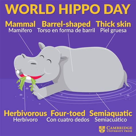 World Hippo Day Cambridge Blog