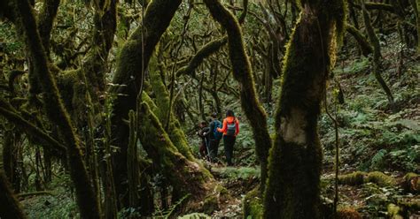 Propuestas De Aut Ntico Ecoturismo En La Garrotxa Disponibles En El