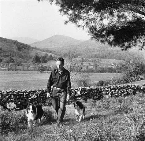 Norman Rockwell Walking With Dogs Photograph By Bettmann