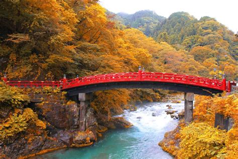 Depuis Tokyo Excursion Priv E D Une Journ E Nikko Et Au Lac