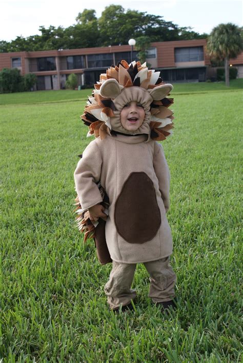 I Hold All The Cards: Hedgehog Costumes