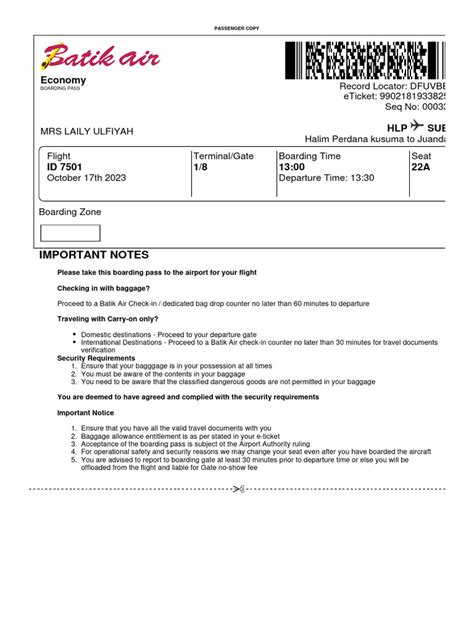 Boarding Pass 1 Pdf Baggage Airport