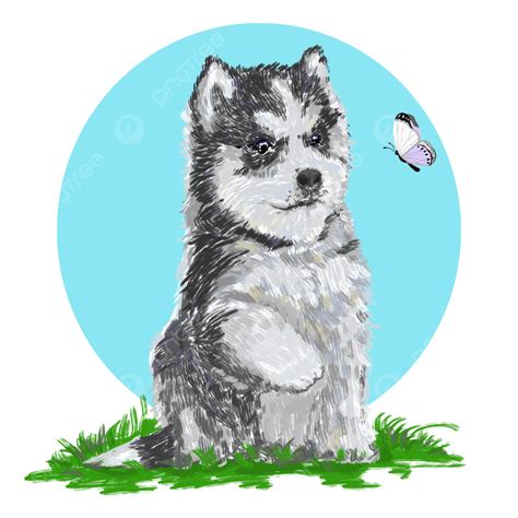 Cute Black And White Husky, Husky, Dog, Butterfly PNG Transparent ...