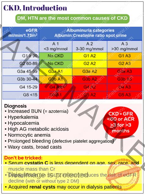 Chronic Kidney Disease CKD Introduction Medicine Keys For MRCPs