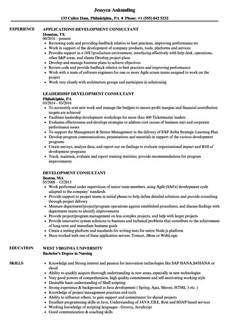 Development Consultant Resume Samples Velvet Jobs