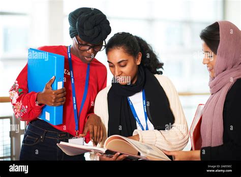 Female College Students Studying Stock Photo Alamy