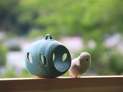 AWASAKA inc. 食卓に華を添える食器