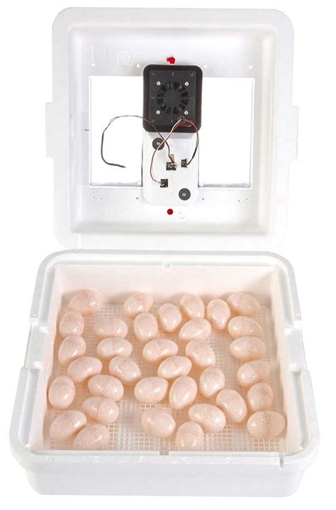 Little Giant Egg Incubator Instructions