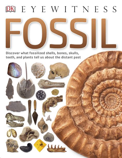 Fossil Explore The History Of Life On Earth Through Every Type Of