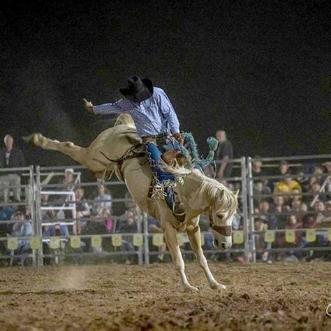 Lightning Ridge Easter Festival Good Friday Getting Better Each Year