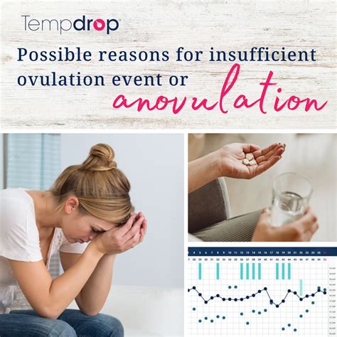 Possible Reasons For Insufficient Ovulation Or Anovulation