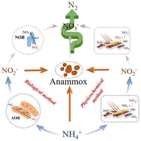 Sustainability Free Full Text The Summary Of Nitritation Process In