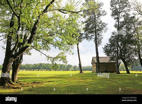 Shiloh National Military Park Stock Photo - Alamy