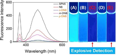 Fluorescence Emission Spectra Of The Supramolecular Polymer Network