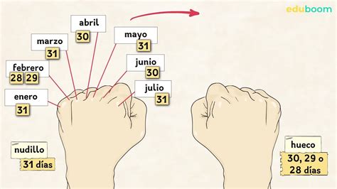 Los D As De La Semana Y Los Meses Del A O Matem Ticas Primaria