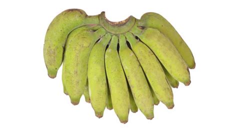 Banana Variety Virupakshi Aab