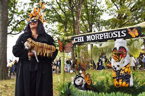 Tompkins Square Park Halloween Dog Parade Returns