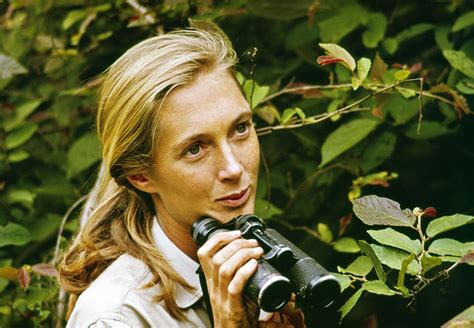 ¡la RevoluciÓn De 5º Jane Goodall