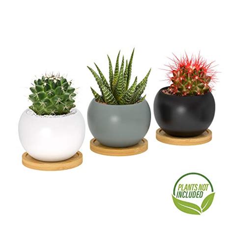 Small Succulent Pots Ceramic With Drainage Cute Mini