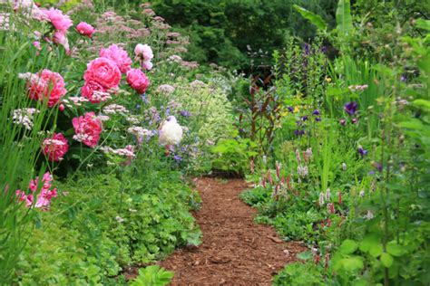 native landscape design landscaping  native plants bright lane