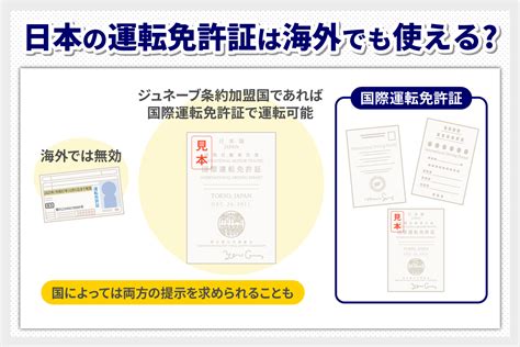 日本の運転免許は海外でも有効？国際運転免許証の取得方法も詳しく解説｜保険コラム｜jal保険ナビ