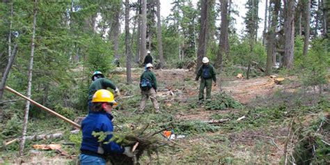 New Vr Training To Protect Health And Safety Of Wildfire Prevention