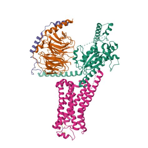 RCSB PDB 8GEE CryoEM Structure Of Beta 2 Adrenergic Receptor In