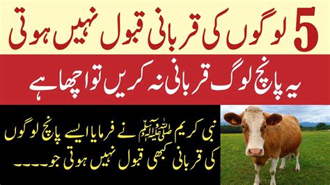 Logon Ki Qurbani Qabool Nhi Hoti Best Islamic Videos Islamic Videos