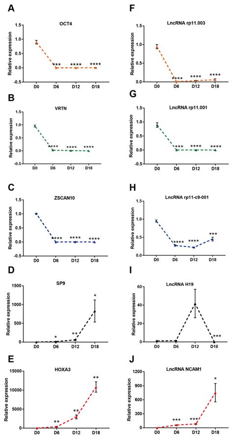 Temporal Expression Profiles Of Lncrna And Mrna In Human Embryonic Stem