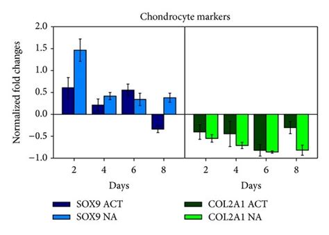 Gene Expression Levels Of Various Markers Specific To Chondrocyte A Download Scientific