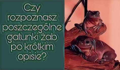 Czy Rozpoznasz Poszczeg Lne Gatunki Ab Po Kr Tkim Opisie Samequizy