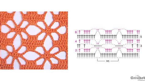 Spider Lace Crochet Mycrochetpattern