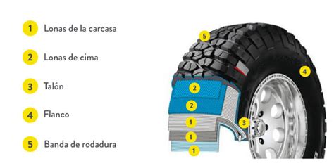 Partes De Un Neumatico