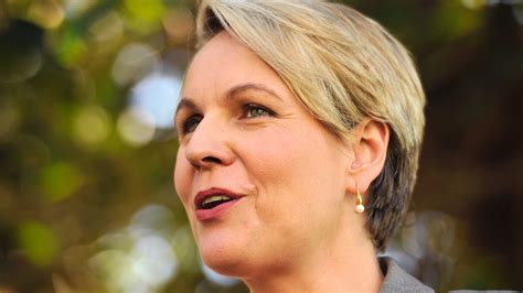 Tanya Plibersek to take on education portfolio under Labor ministry ...