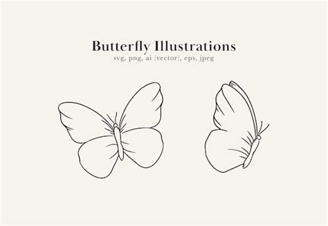 Simple Butterfly Drawing Sale Hayatiaygun