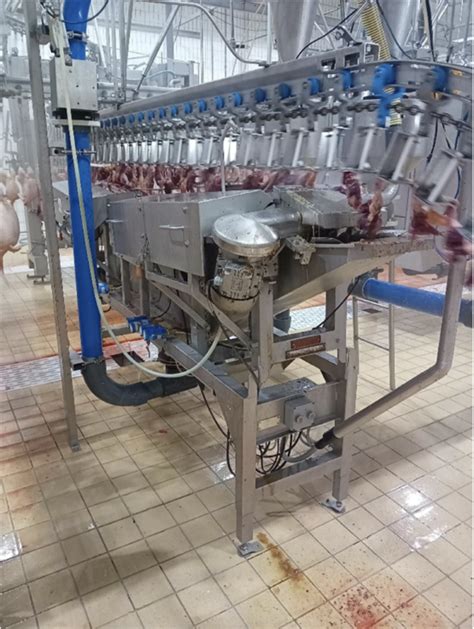 Poultry Processing Equipment Stork Automatic Evisceration Line 8000 Birds Per Hour